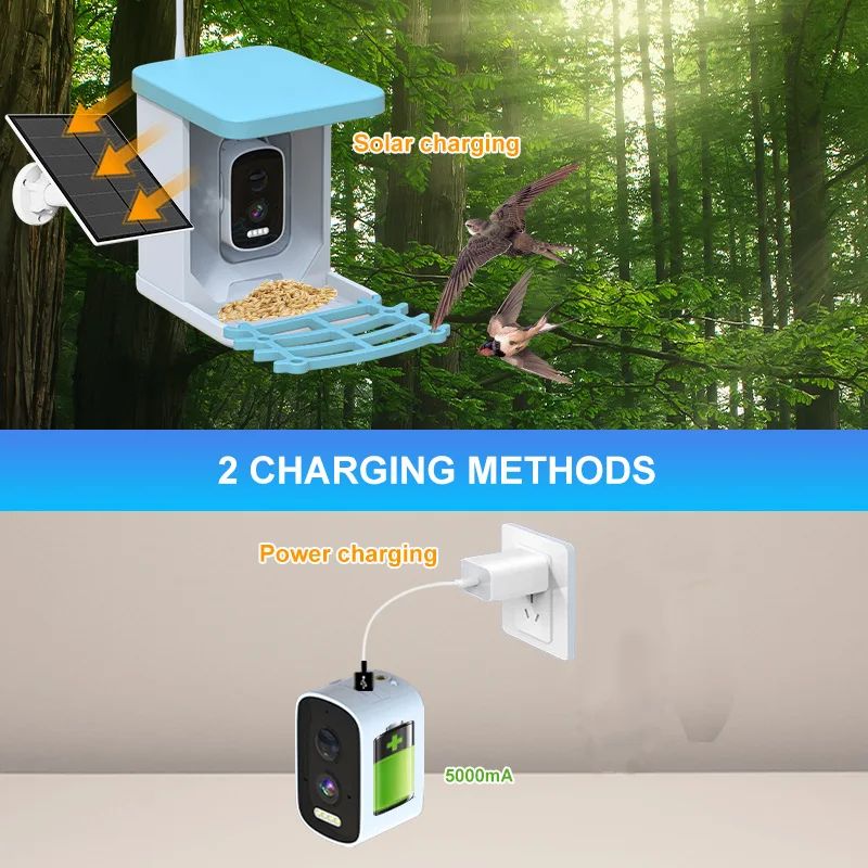 Smart Bird Feeder with Camera Solar Powered 4MP product detail 2
