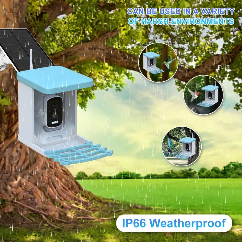 Smart Bird Feeder with Camera Solar Powered 4MP product detail 3