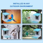 Smart Bird Feeder with Camera Solar Powered 4MP gallery 03
