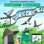 Smart Bird Feeder With HD Camera 5200mAh Battery gallery 05