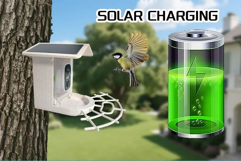 Smart Charge Automatic Bird Feeder with Camera and product detail 3