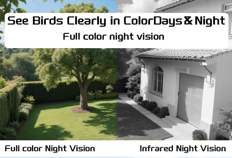Smart Charge Automatic Bird Feeder with Camera and product detail 4