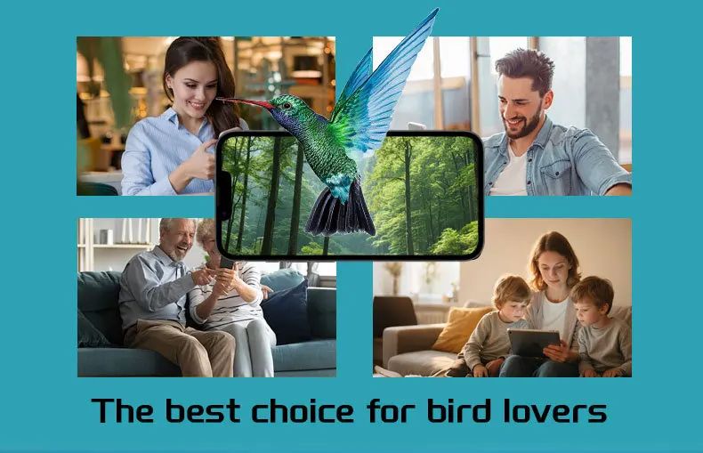 Smart Charge Automatic Bird Feeder with Camera and product detail 5