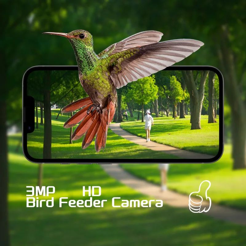 Smart Charge Automatic Bird Feeder with Camera and product detail 6
