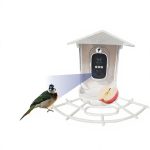 Smart Charge Automatic Bird Feeder with Camera and gallery 01