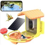 Smart Solar Powered Bird Feeder With 1080P Camera gallery 10