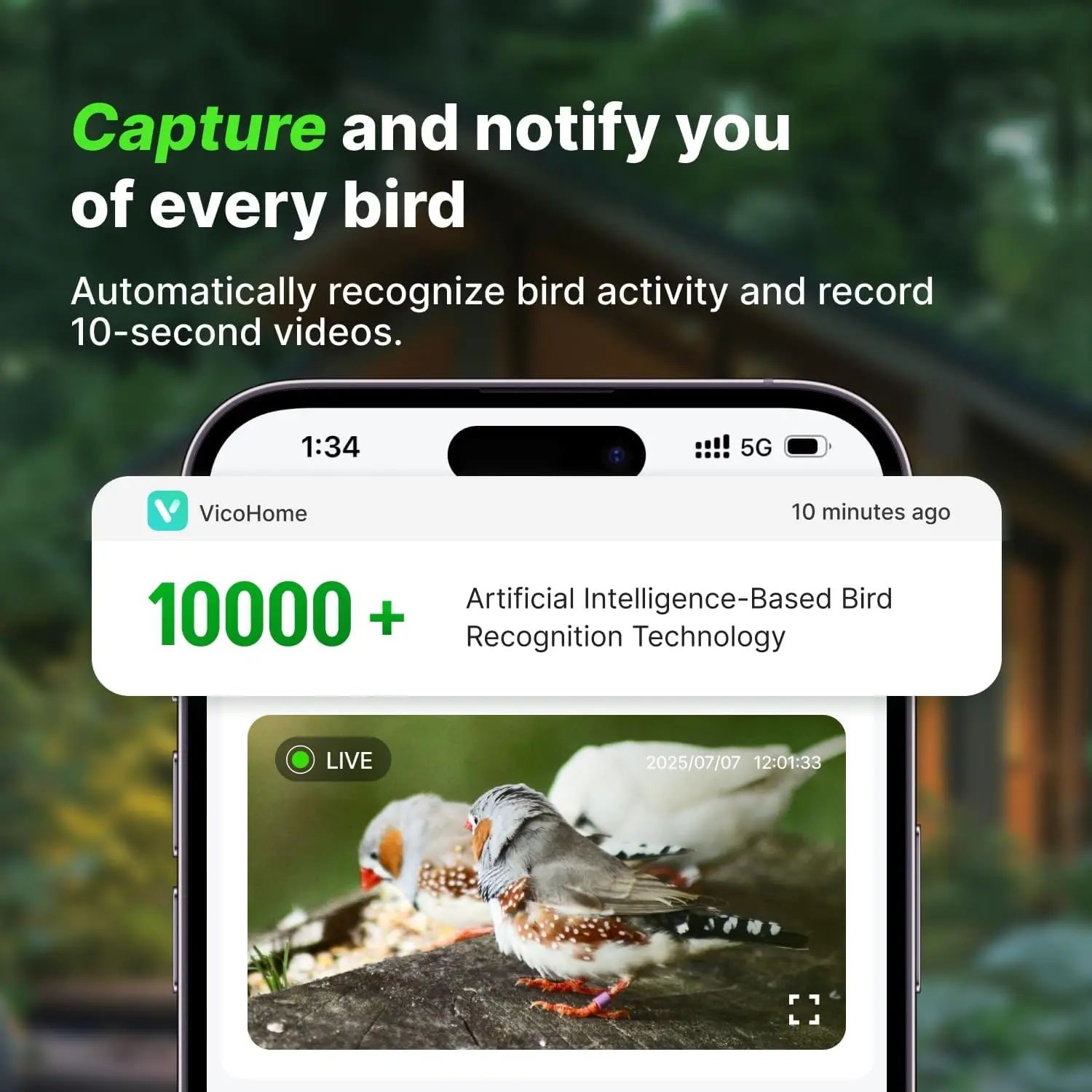 Smart Solar Powered Camera Bird Feeder 2K Live product detail 7