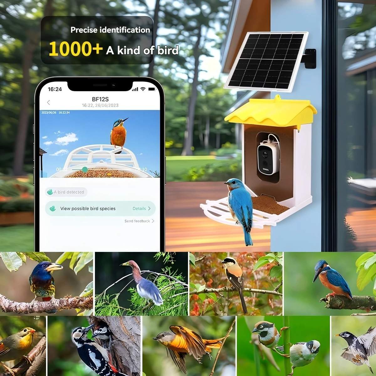 Smart Solar Powered Eco-Friendly Bird Feeder 400W WiFi product detail 3