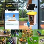 Smart Solar Powered Eco-Friendly Bird Feeder 400W WiFi gallery 07