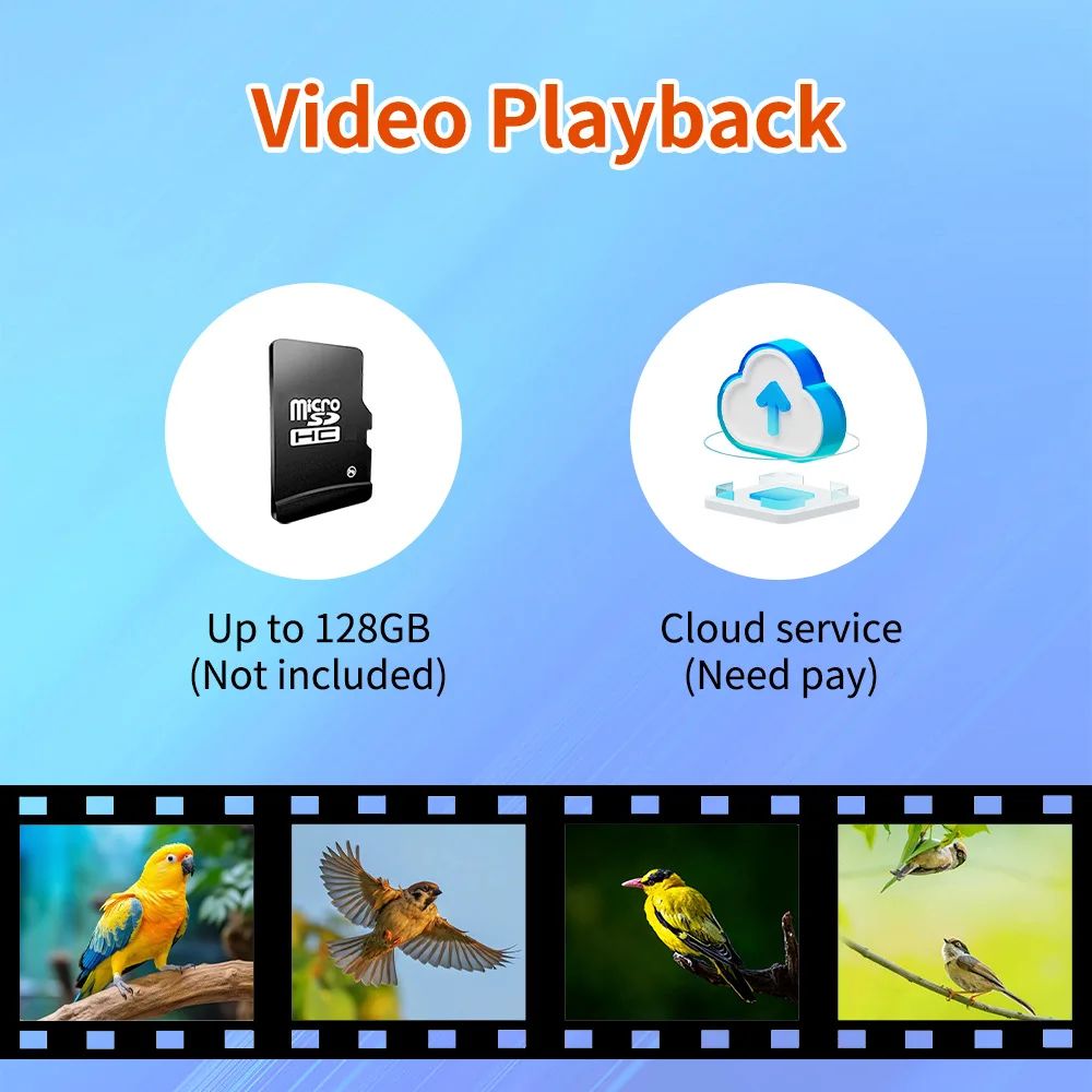 Smart Waterproof Bird Feeder Camera AI Bird Recognition product detail 8