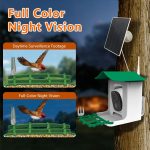 Smart Waterproof Bird Feeder Camera AI Bird Recognition gallery 02
