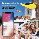 Solar AI Smart Bird Feeder with 3MP HD main
