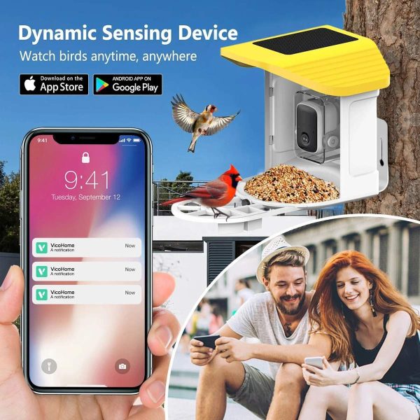 Solar AI Smart Bird Feeder with 3MP HD main