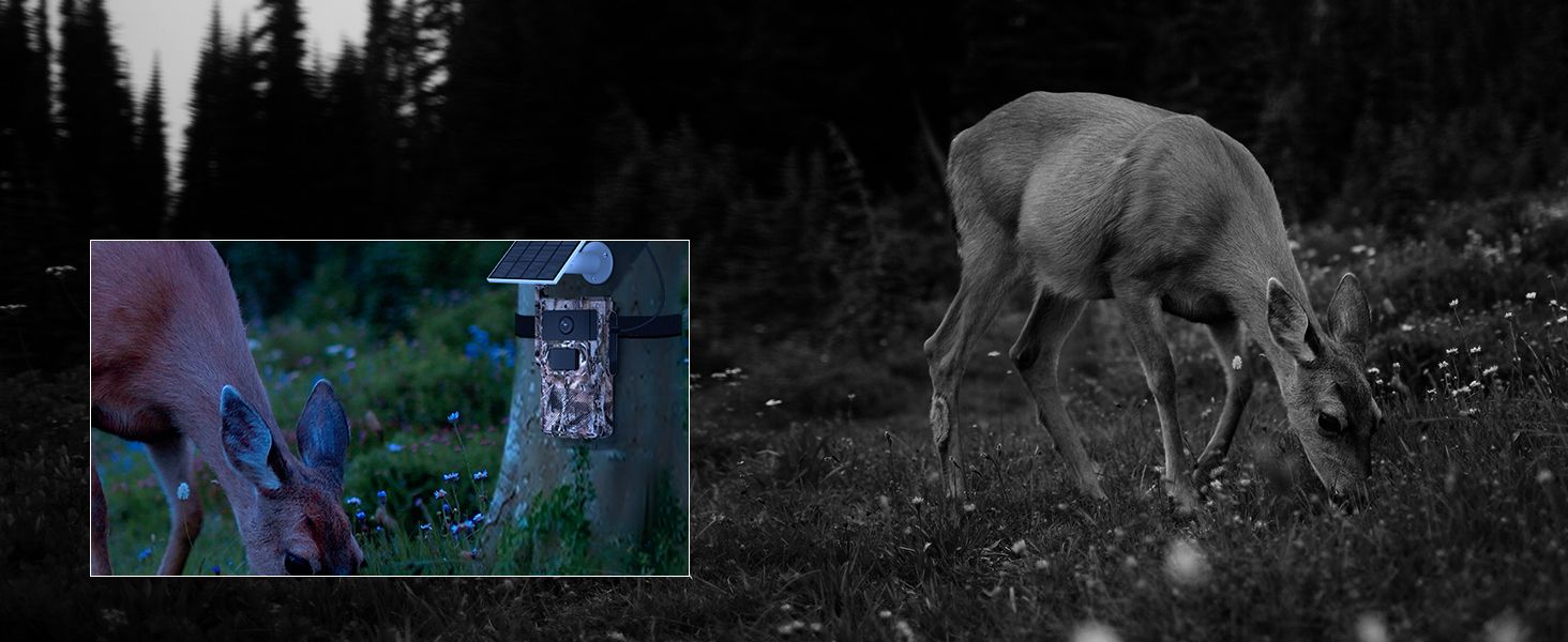 Solar Hunting Trail Camera 2K HD Wildlife Game MinMax Outdoors product detail image 2