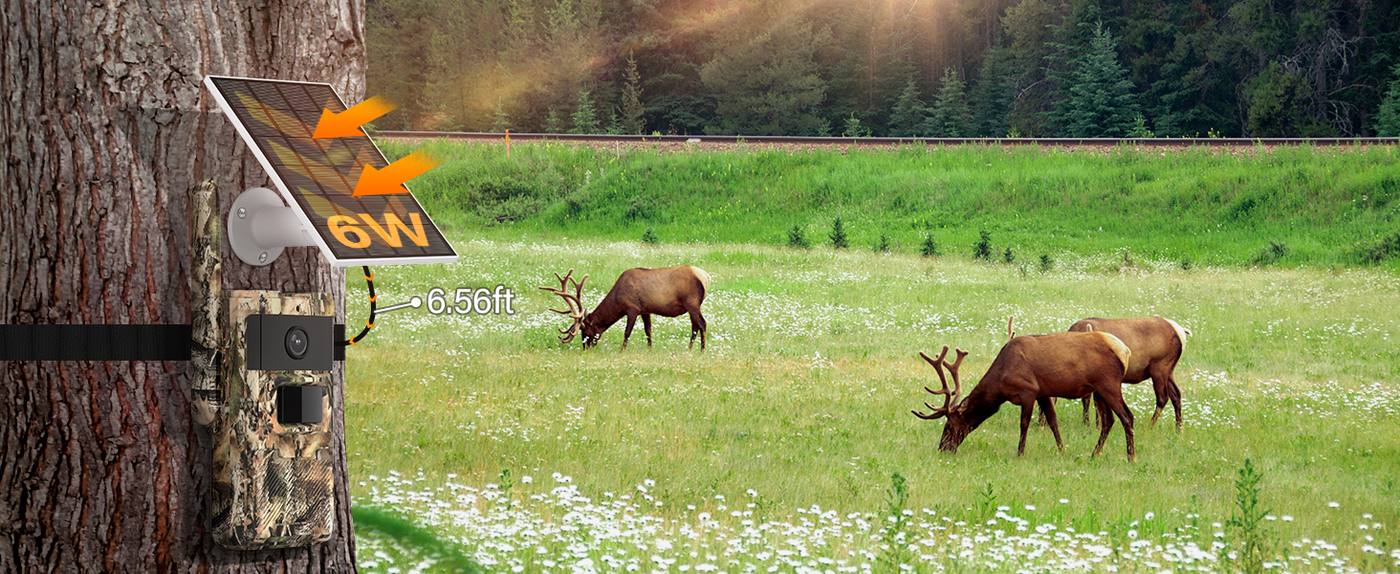 Solar Hunting Trail Camera 2K HD Wildlife Game MinMax Outdoors product detail image 8