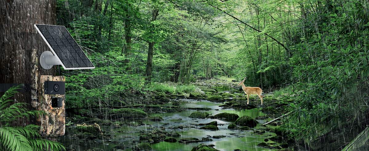 Solar Hunting Trail Camera 2K HD Wildlife Game MinMax Outdoors product detail image 9
