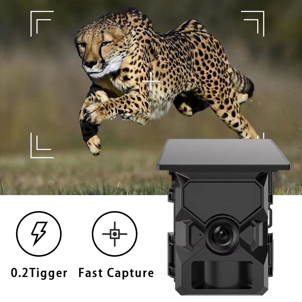 Solar Integrated Trail Camera 2K Video 36MP CMOS MinMax Outdoors product detail image 3