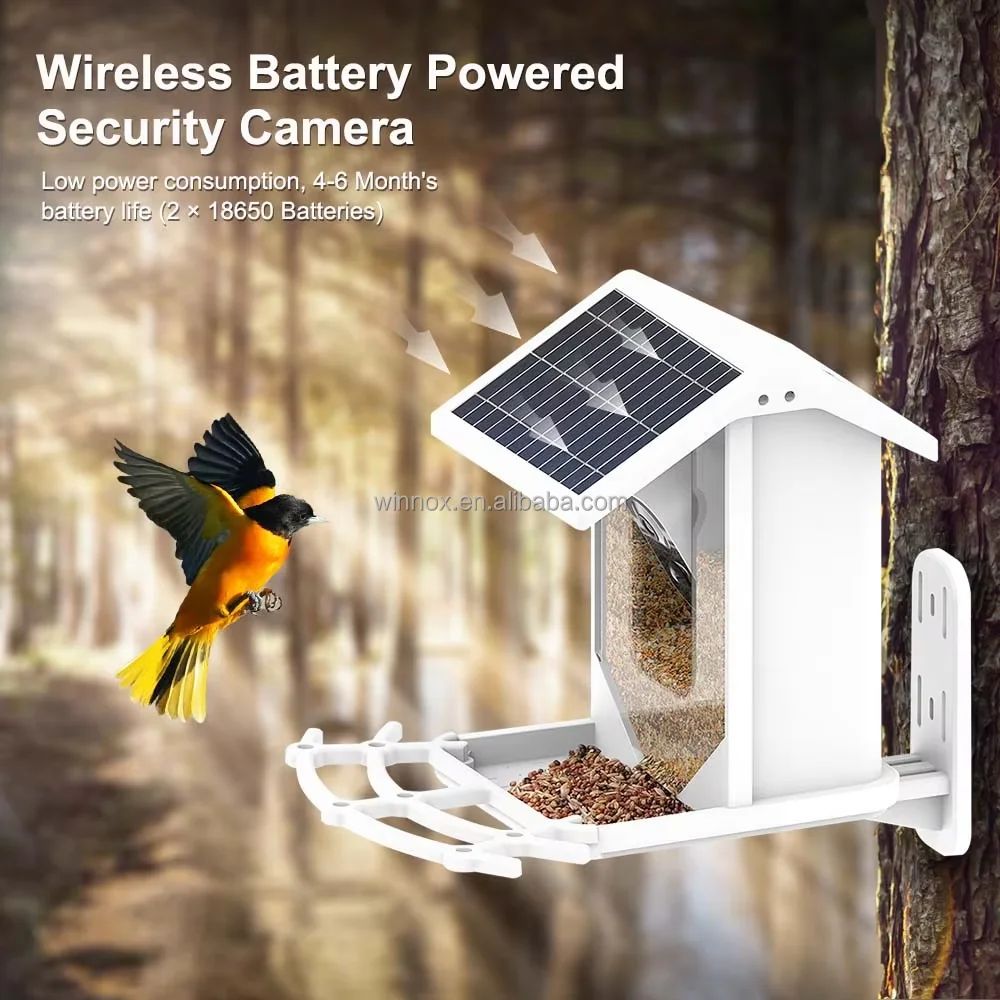 Solar Powered 1080p HD Smart Bird Feeder Camera product detail 3
