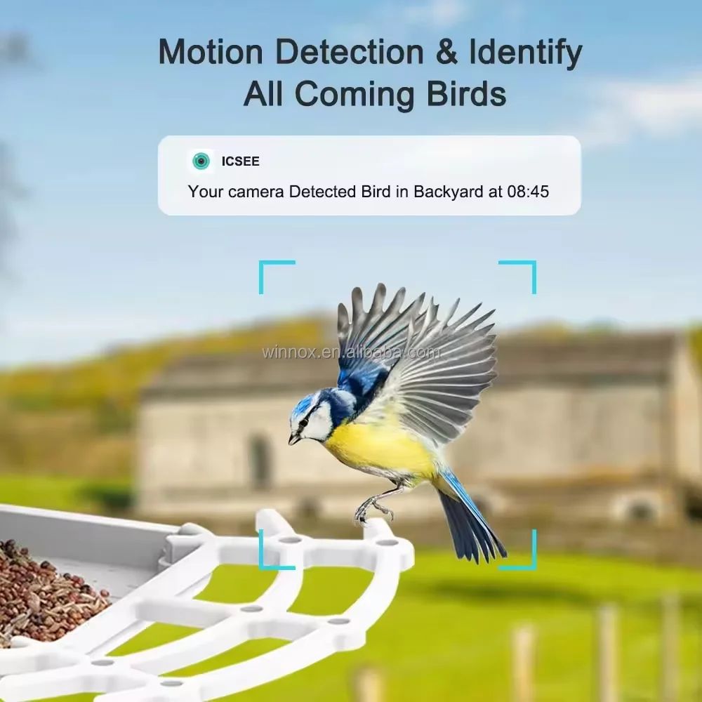 Solar Powered 1080p HD Smart Bird Feeder Camera product detail 4