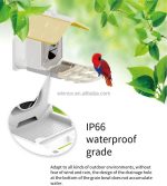 Solar Powered 1080p HD Smart Bird Feeder Camera gallery 04