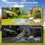 Solar Powered 1080p HD Smart Bird Feeder Camera gallery 06