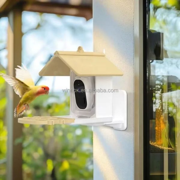 Solar Powered 1080p HD Smart Bird Feeder Camera main