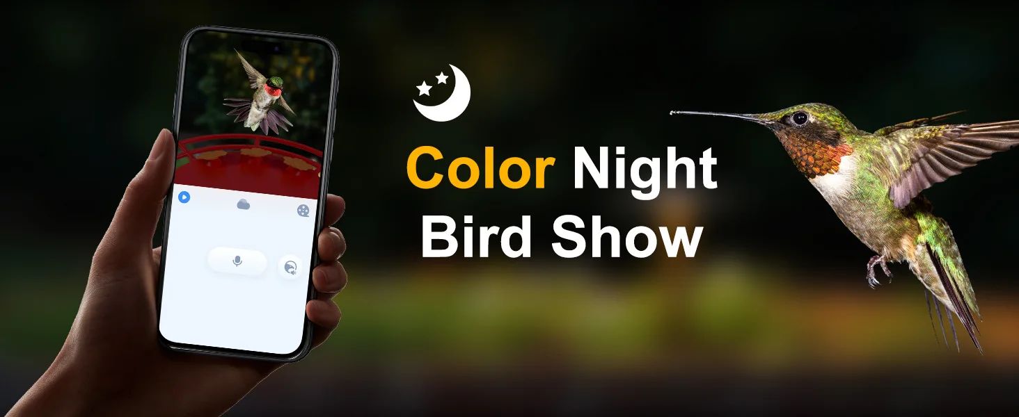 Solar Powered AI Hummingbird Feeder Camera 2K Live product detail 8