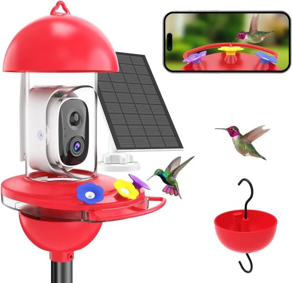 Solar Powered AI Hummingbird Feeder Camera 2K Live main