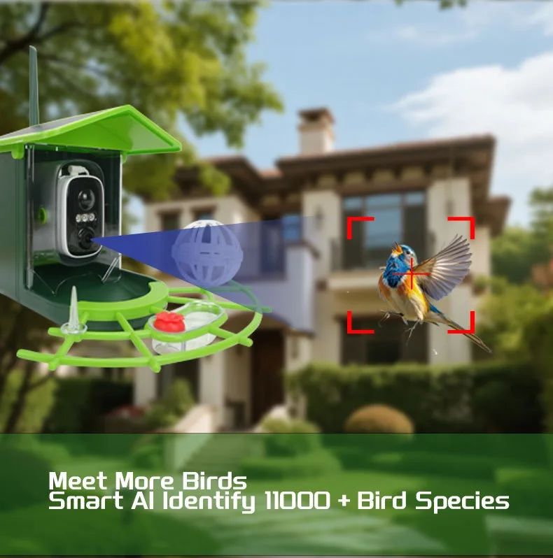 Solar Powered Auto-Capture Bird Feeder Plastic Material AI product detail 1