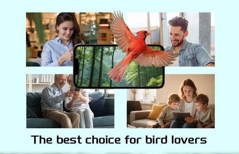 Solar Powered Auto-Capture Bird Feeder Plastic Material AI product detail 4