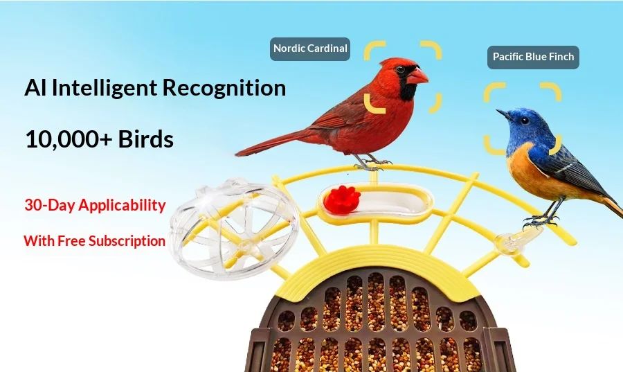 Solar Powered Automatic 1000+ Birds AI Recognition Smart product detail 3
