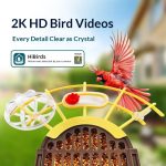 Solar Powered Automatic 1000+ Birds AI Recognition Smart gallery 02