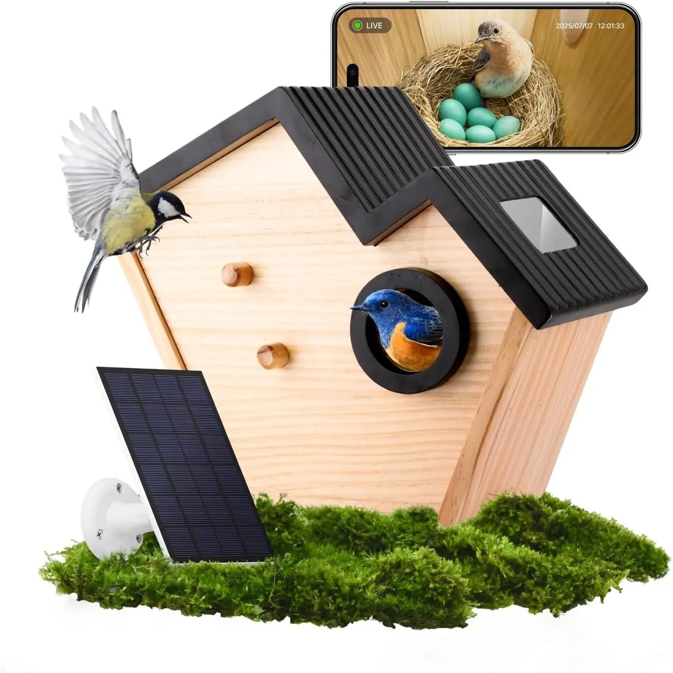 Solar Powered Outdoor Wooden Bird Feeder 2K Live product detail 1