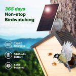 Solar Powered Outdoor Wooden Bird Feeder 2K Live gallery 05