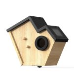 Solar Powered Outdoor Wooden Bird Feeder 2K Live main