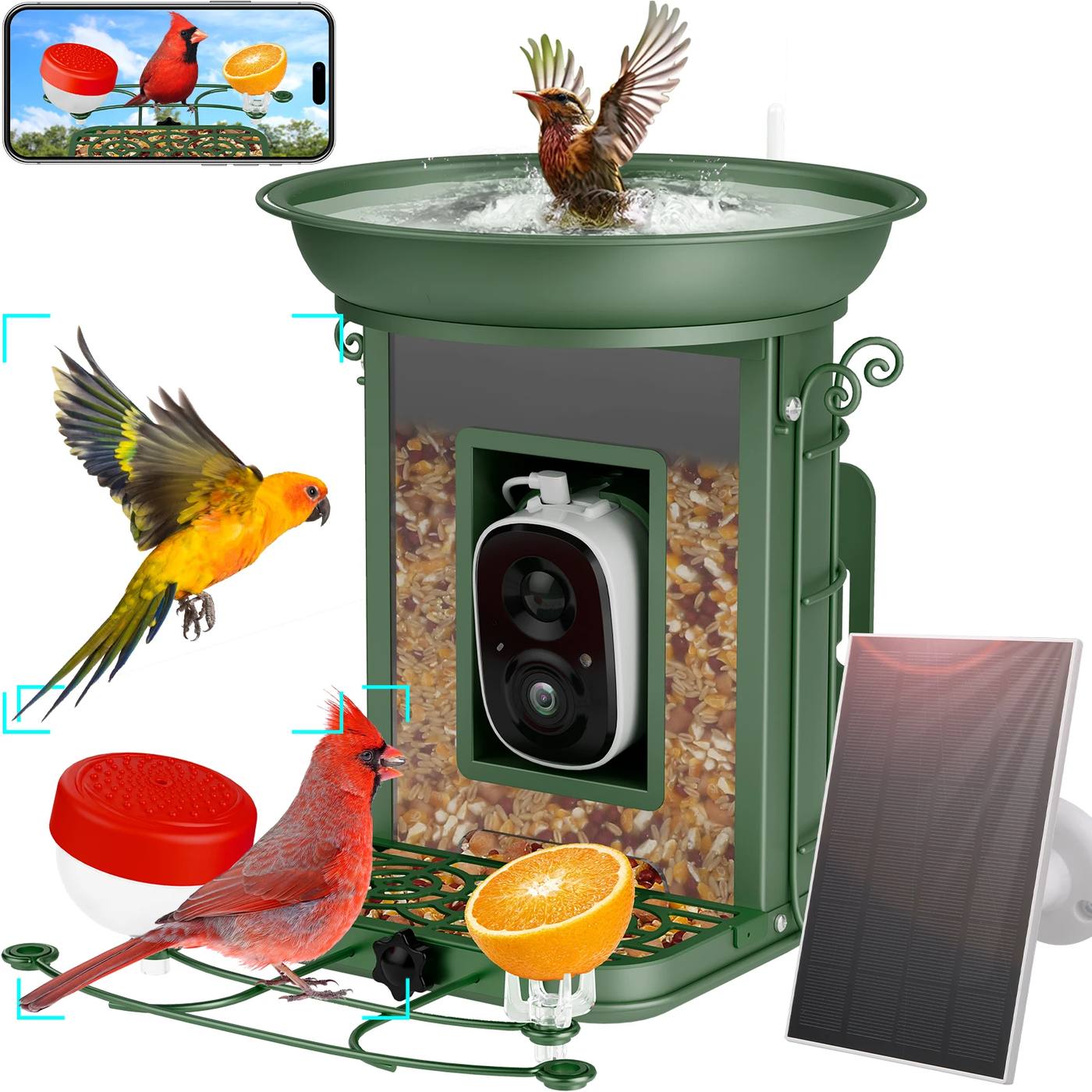 Solar Powered Smart Bird Feeder AI Camera Self-selecting product detail 1