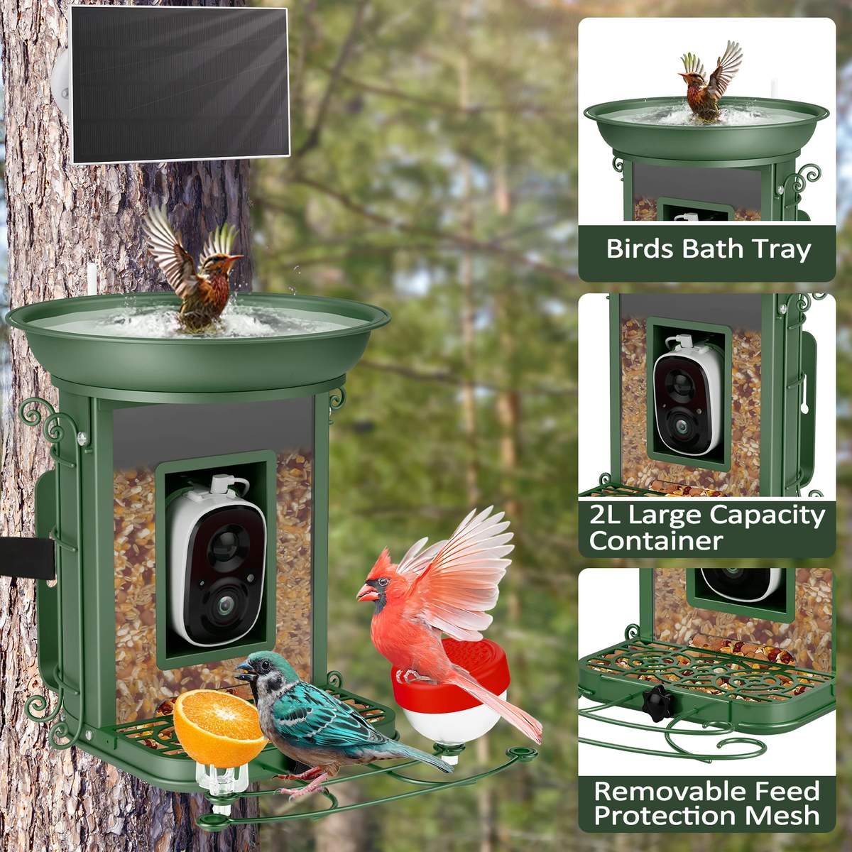 Solar Powered Smart Bird Feeder AI Camera Self-selecting product detail 3