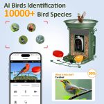 Solar Powered Smart Bird Feeder AI Camera Self-selecting gallery 05