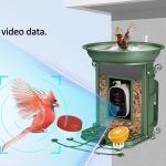 Solar Powered Smart Bird Feeder AI Camera Self-selecting main