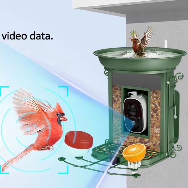 Solar Powered Smart Bird Feeder AI Camera Self-selecting main