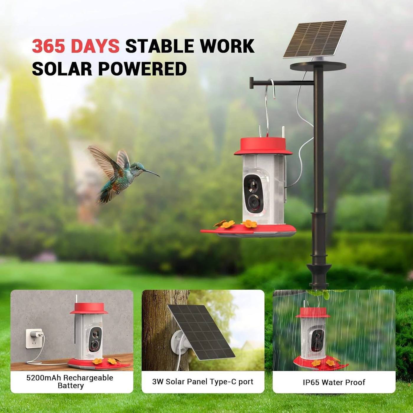Solar Powered Smart Bird Feeder with Camera 2K product detail 3