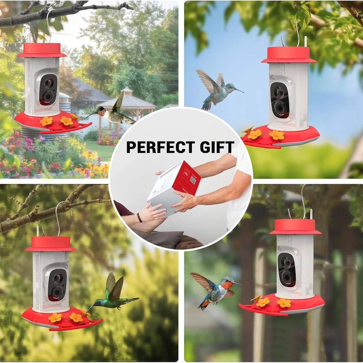 Solar Powered Smart Bird Feeder with Camera 2K product detail 6