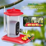 Solar Powered Smart Bird Feeder with Camera 2K gallery 01
