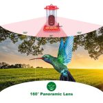 Solar Powered Smart Bird Feeder with Camera 2K gallery 02