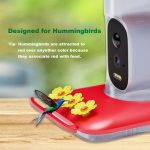 Solar Powered Smart Bird Feeder with Camera 2K gallery 03