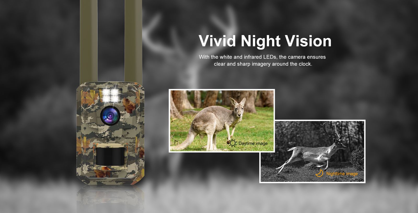 Solar Powered Trail Camera with PIR Motion Detection MinMax Outdoors product detail image 10
