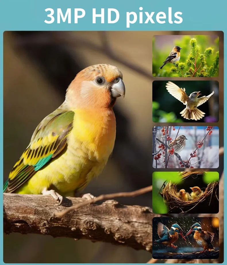Solar Powered Waterproof Bird Feeder Camera Night Vision product detail 2