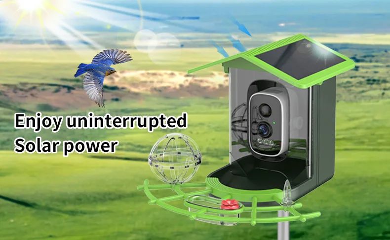 Solar Powered Waterproof Bird Feeder Camera Night Vision product detail 3