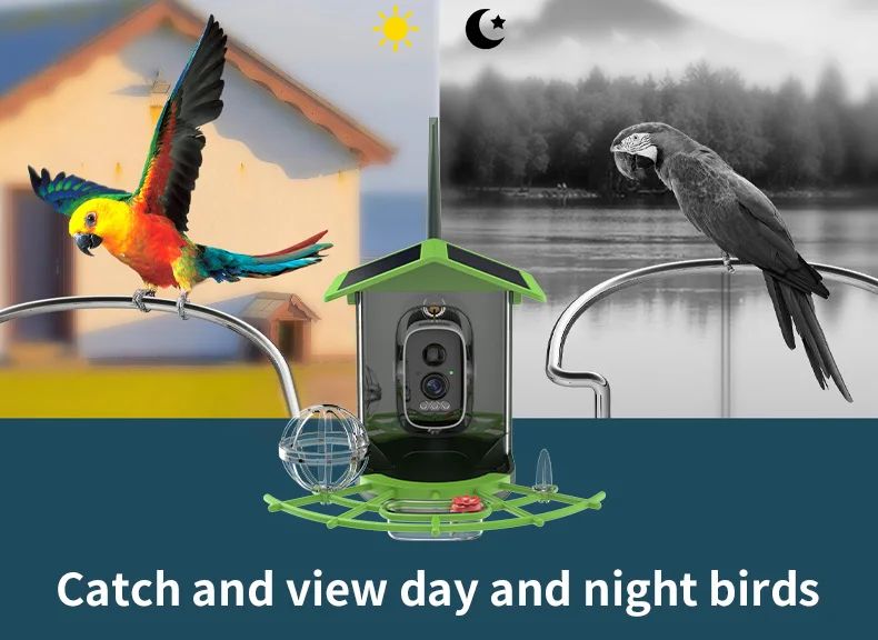 Solar Powered Waterproof Bird Feeder Camera Night Vision product detail 4