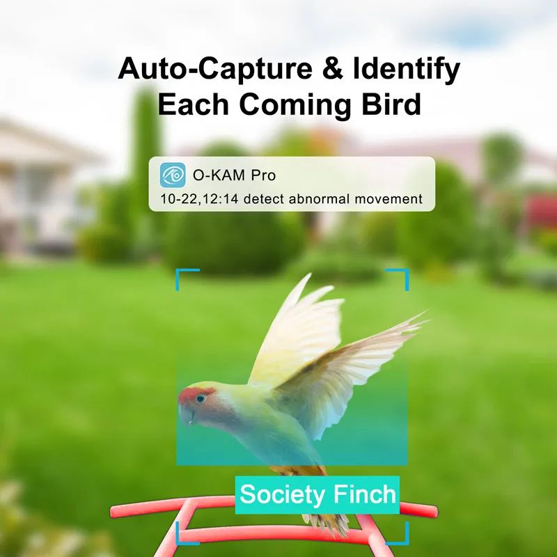 Solar-Powered Wifi Home Security IP Camera Recorder Outdoor product detail 4